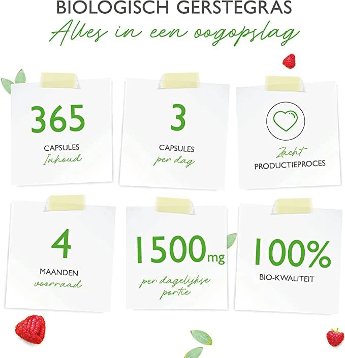 Productafbeelding 2