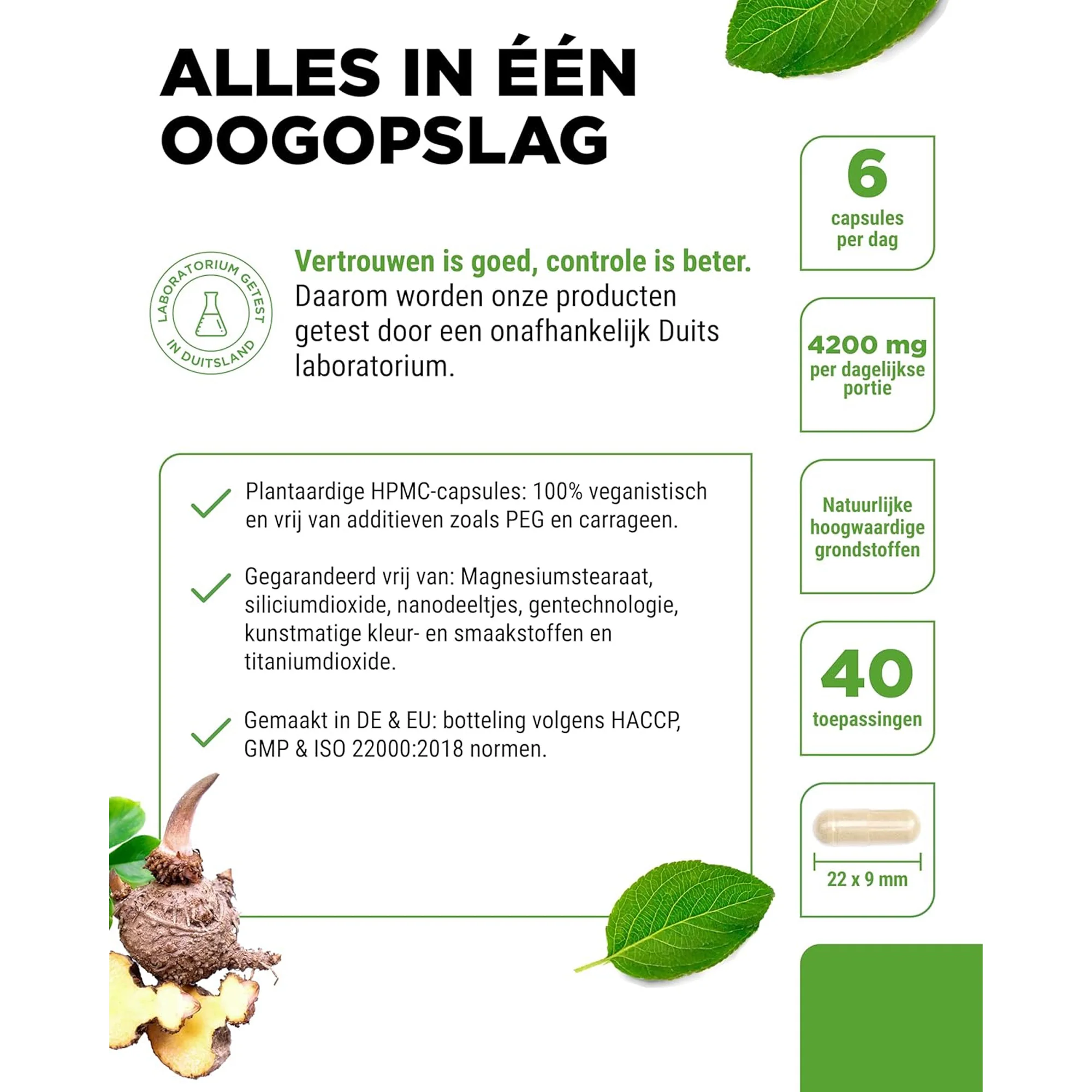 Productafbeelding 4