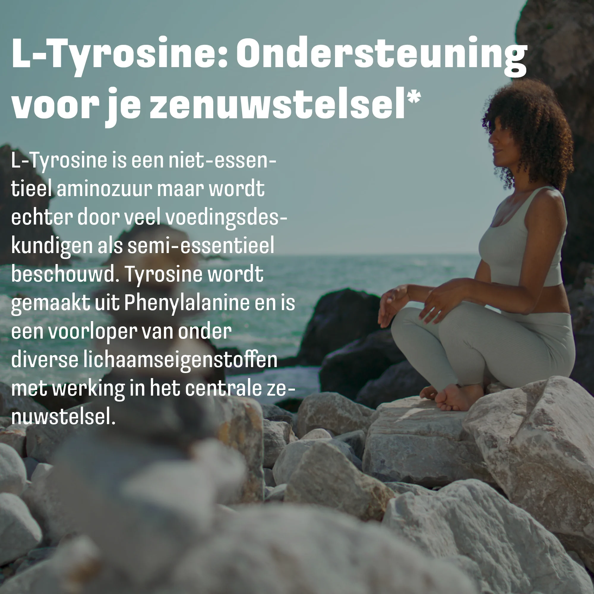 Productafbeelding 5
