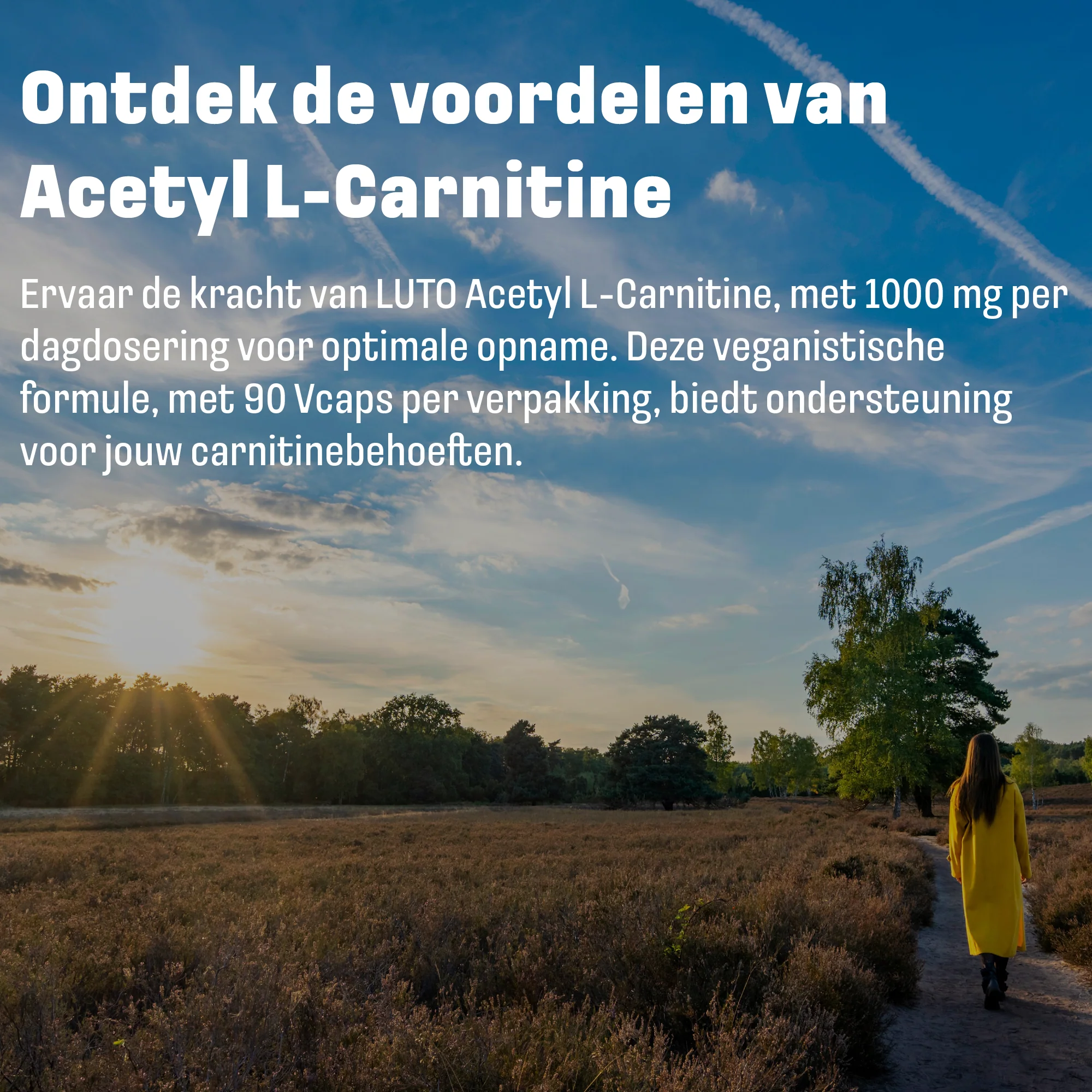 Productafbeelding 5
