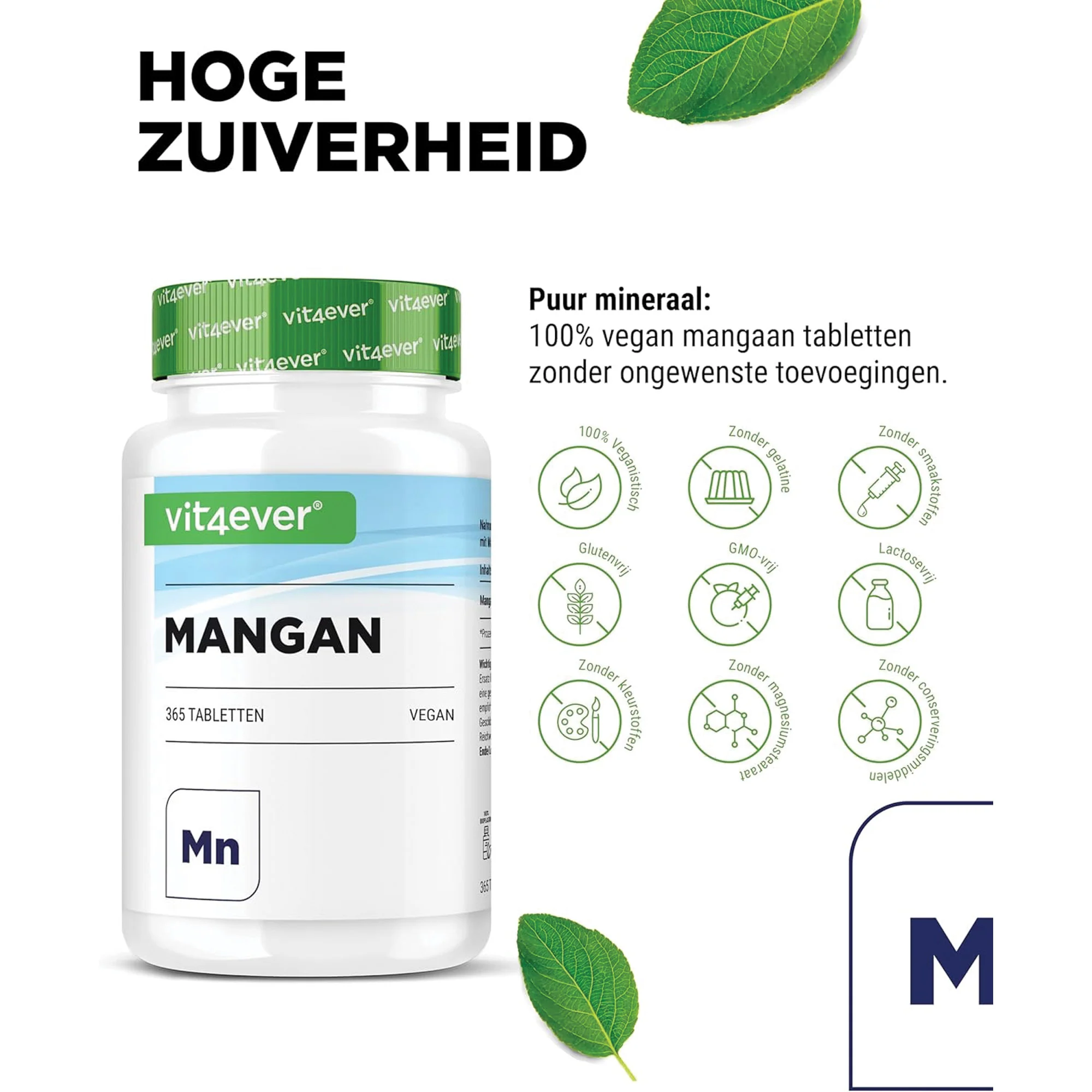 Miniatuur 2