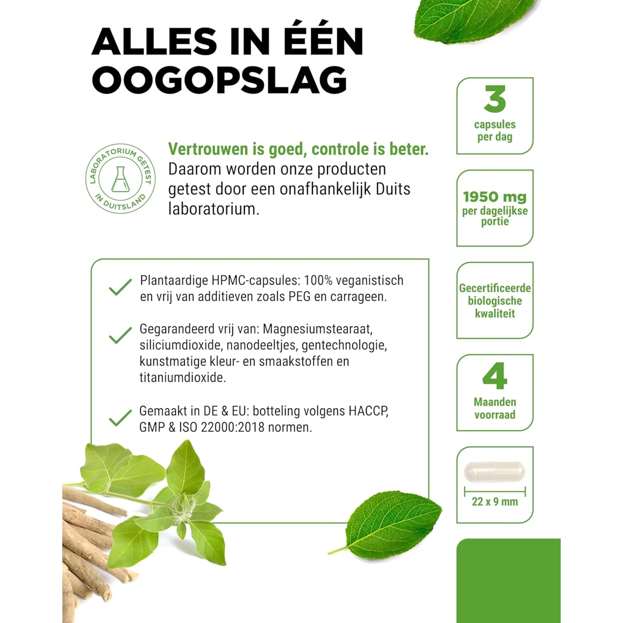 Productafbeelding 3