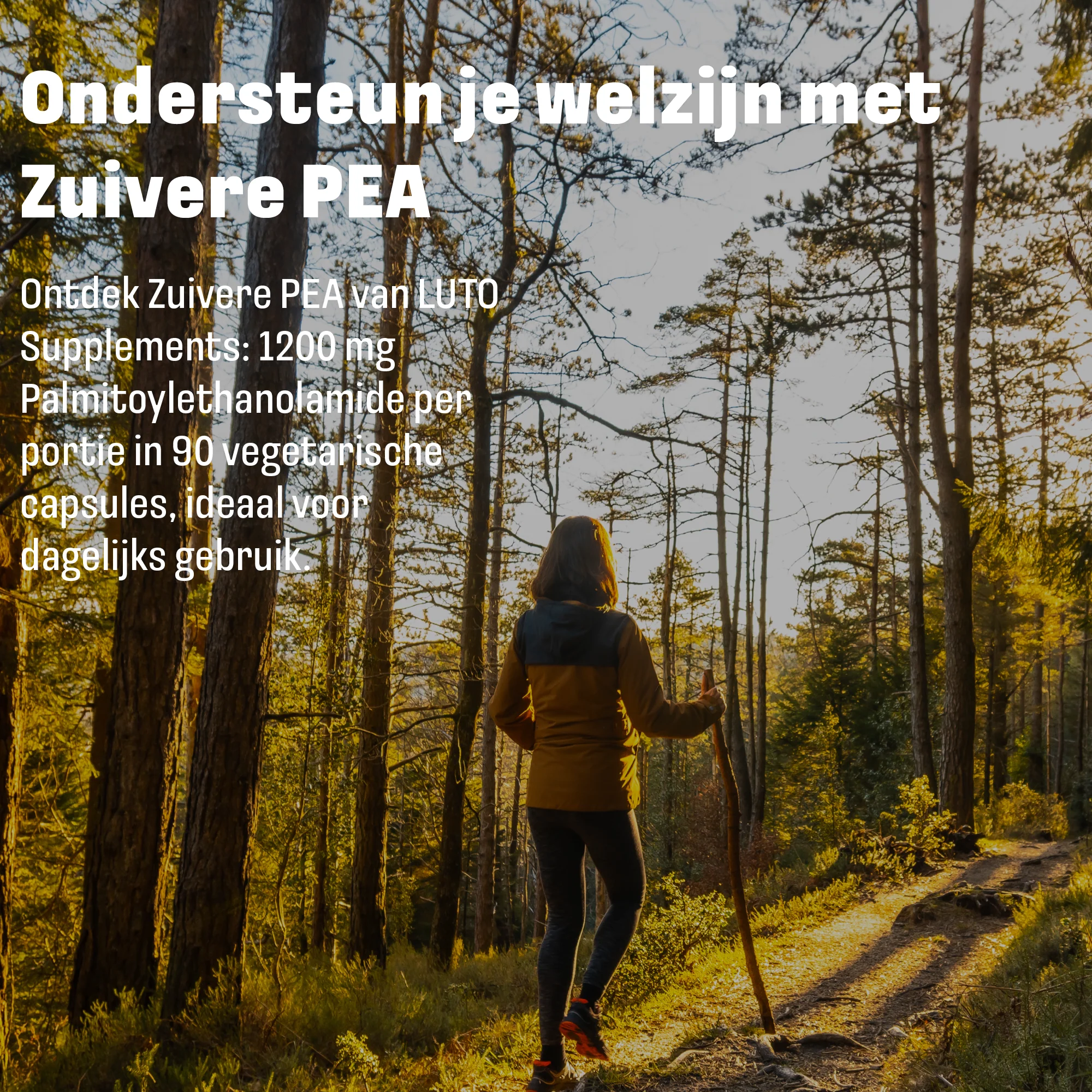 Productafbeelding 5