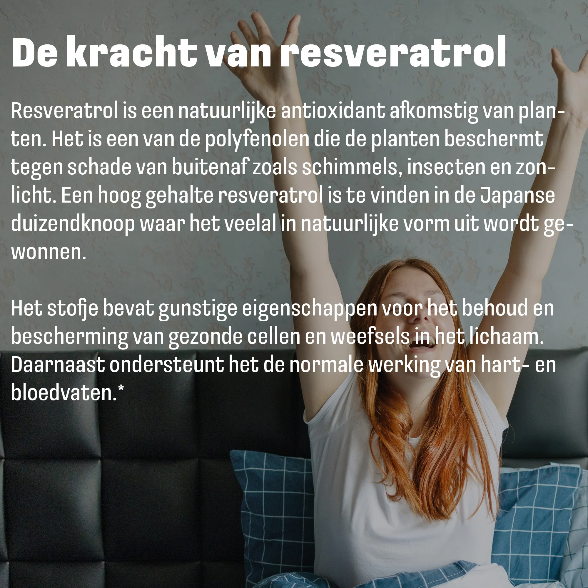 Productafbeelding 5