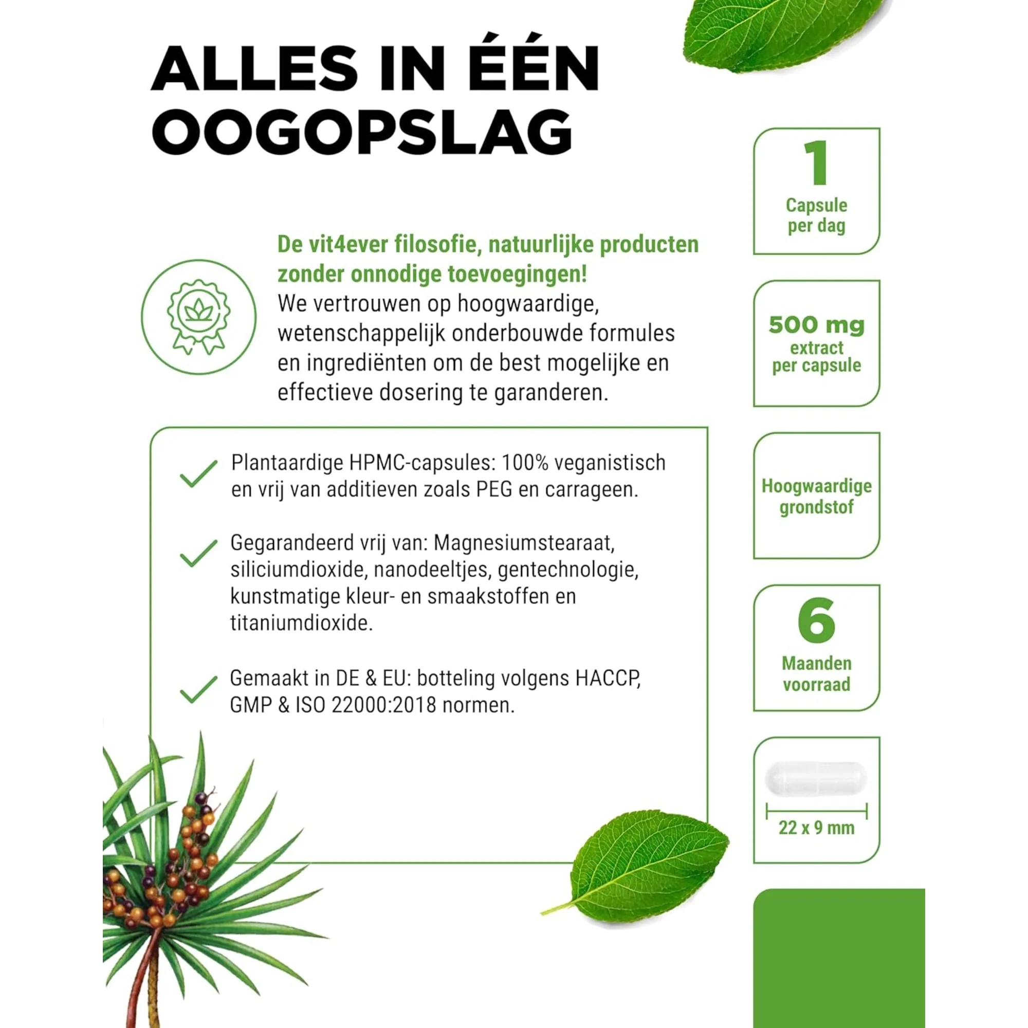 Productafbeelding 4
