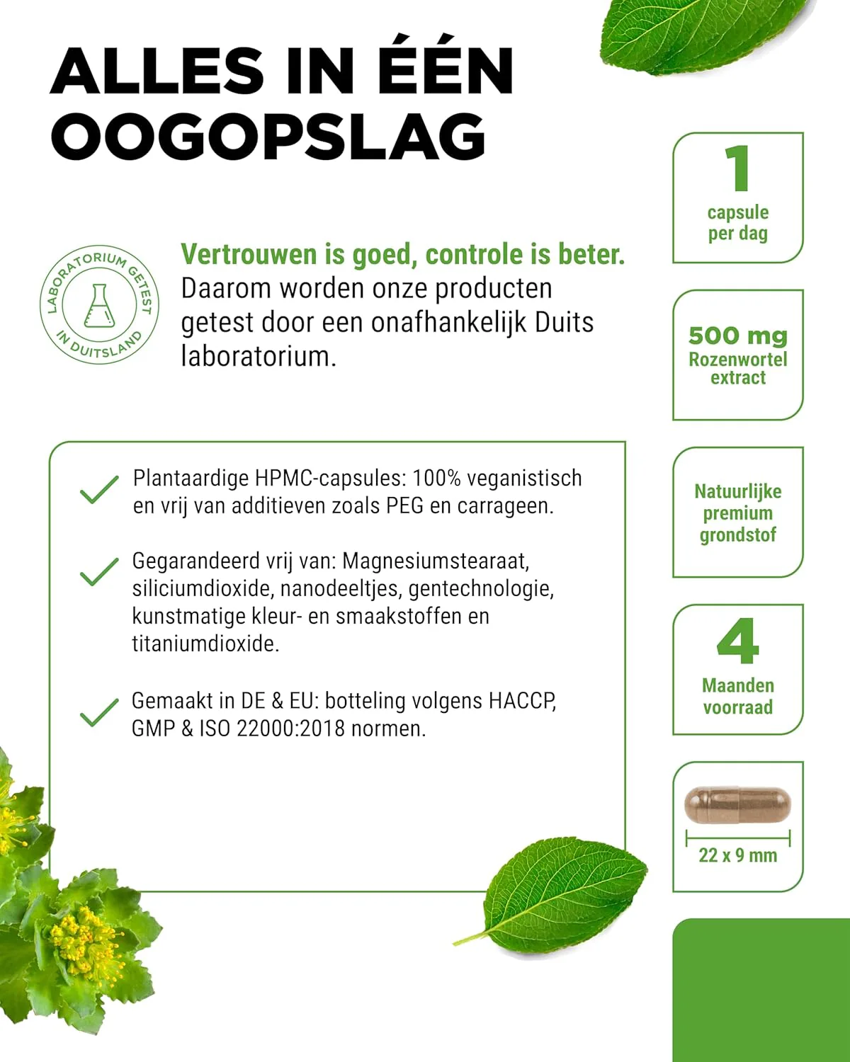 Productafbeelding 3